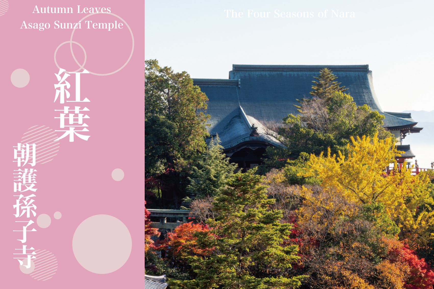 山を染める壮大な秋の舞台──朝護孫子寺で味わう“信貴山の紅葉”の画像