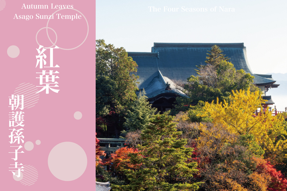 山を染める壮大な秋の舞台──朝護孫子寺で味わう“信貴山の紅葉”の画像