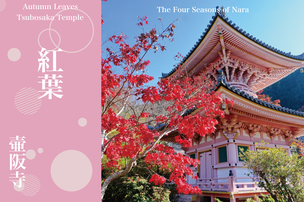 石仏が見守る秋の舞台──壷阪寺で出会う雄大な紅葉美の画像