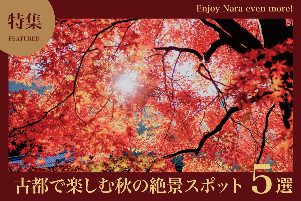 奈良の紅葉5選｜古都で楽しむ秋の絶景スポットの画像