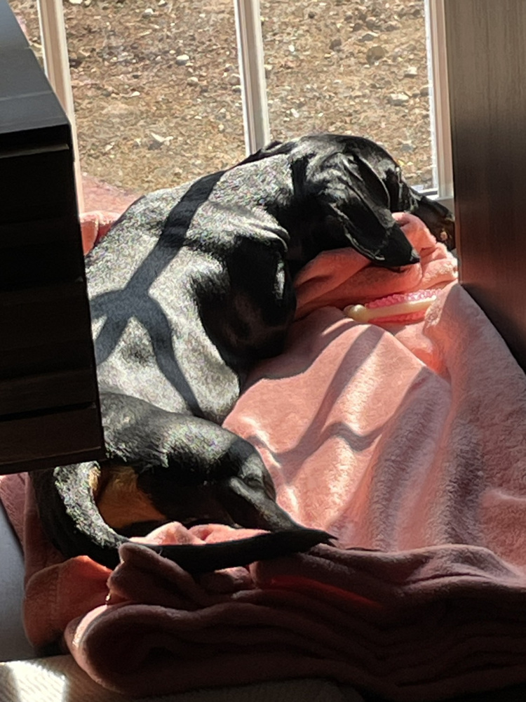 急な冬に要注意の画像