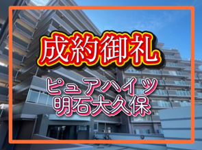 成約情報の画像