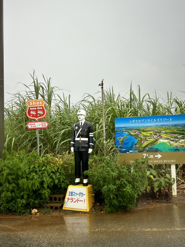 宮古島～まもる君～の画像