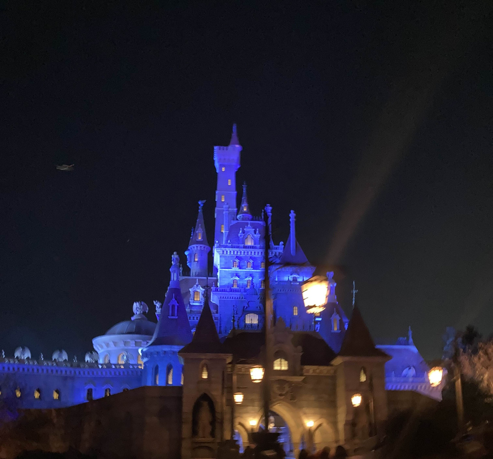 ほぼ初めてのTDLの画像