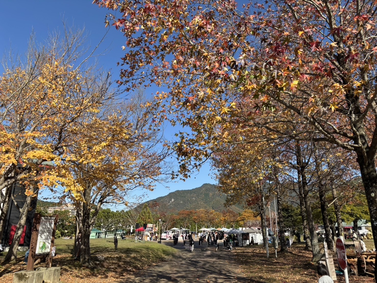 秋の風に誘われて…『丹波で秋の実マルシェ』を満喫の画像