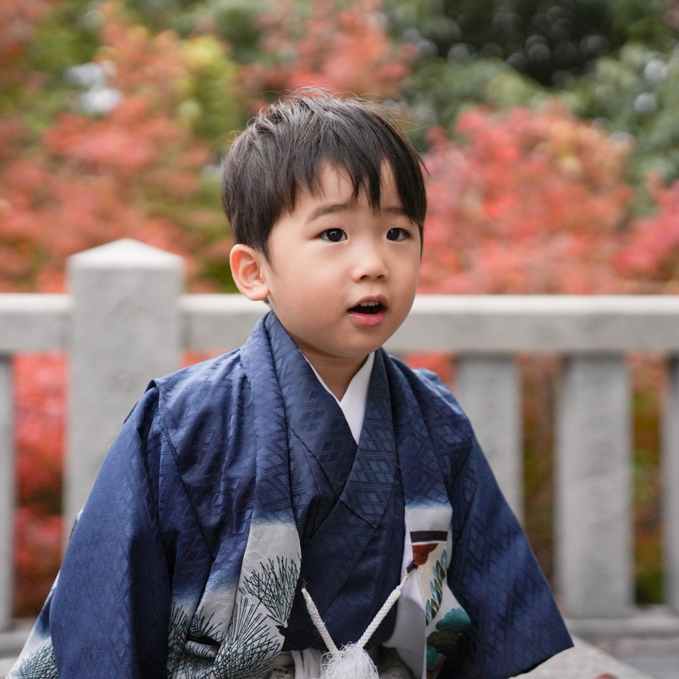 着物の女の子たち