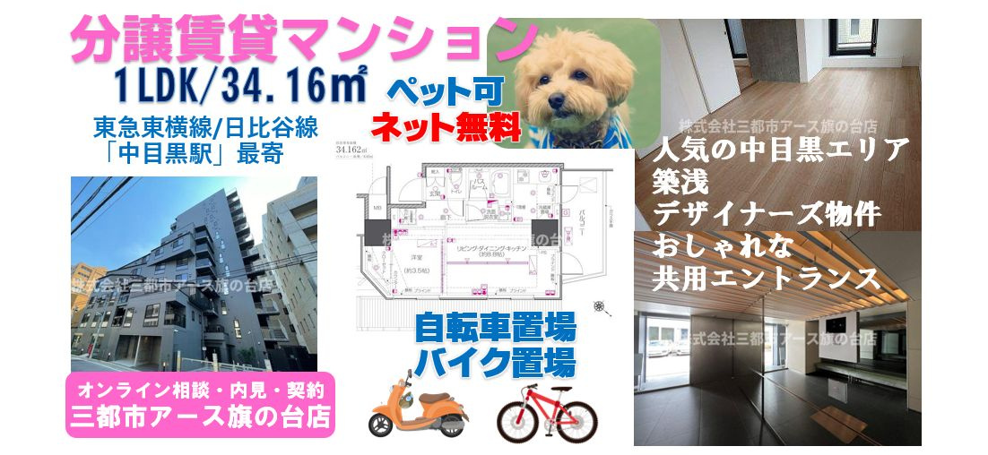 【ZOOM中目黒】ペット可・築浅デザイナーズマンション1LDK・ネット無料
