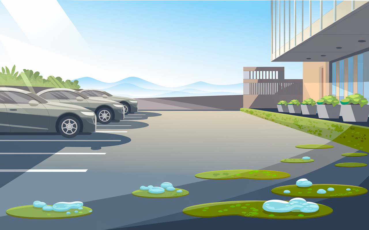 岐阜市の月極駐車場にイシクラゲが発生する理由は？簡単な対策方法も紹介の画像