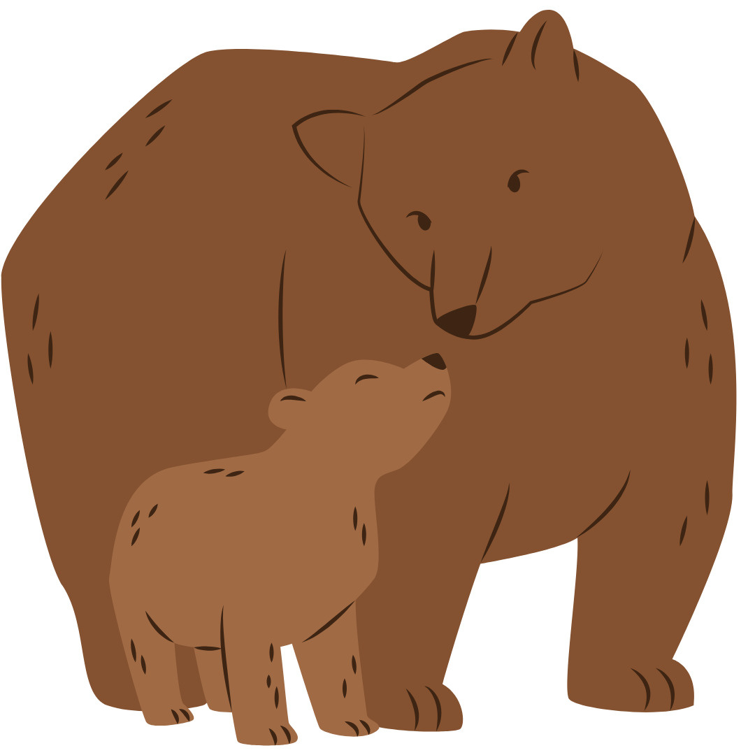 クマ出没多数！今からできるクマ対策とは？の画像