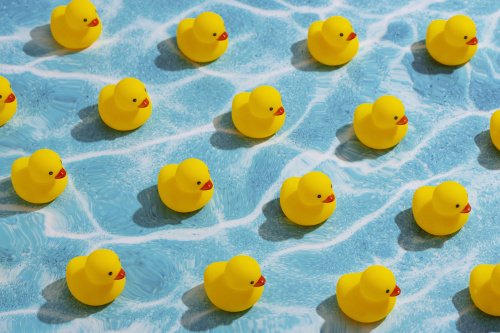 Vol.199 ツンデレなお客さん、強がるな！素直になれ！の画像