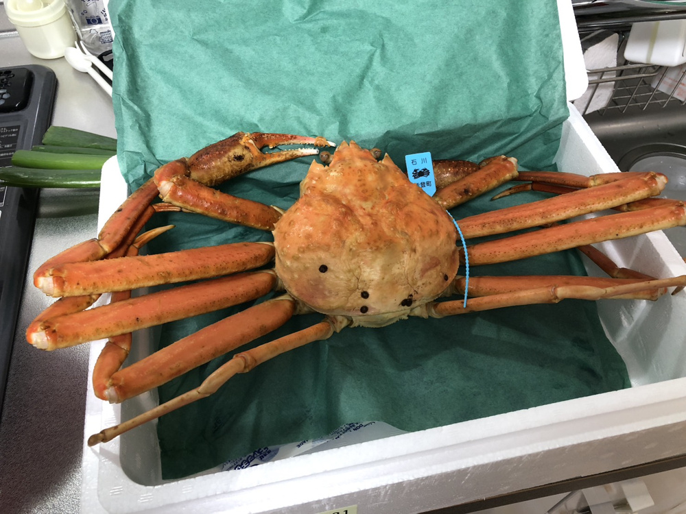 カニにシーズン到来！！の画像