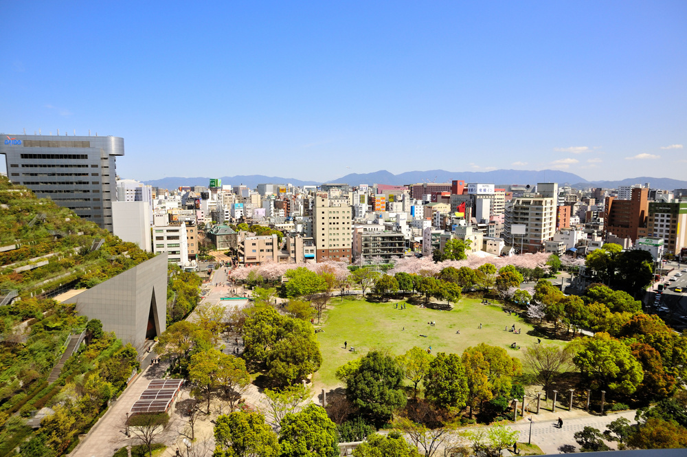 大濠で中古マンションの相場はどれくらい？購入を検討する方に向けて最新情報を紹介の画像