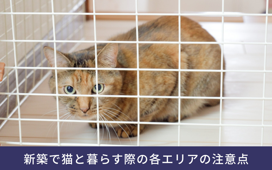 新築で猫と暮らす際の各エリアの注意点
