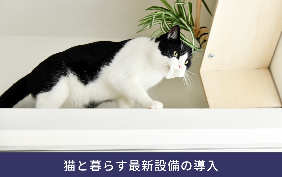 猫と暮らす最新設備の導入