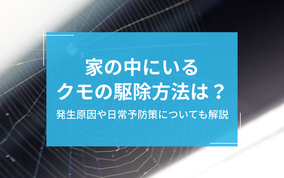 家の中にいるクモの駆除方法は？発生原因や日常予防策についても解説の画像