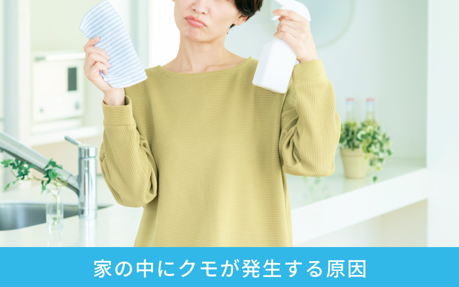 家の中にクモが発生する原因