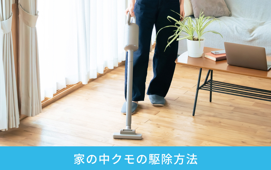 家の中クモの駆除方法