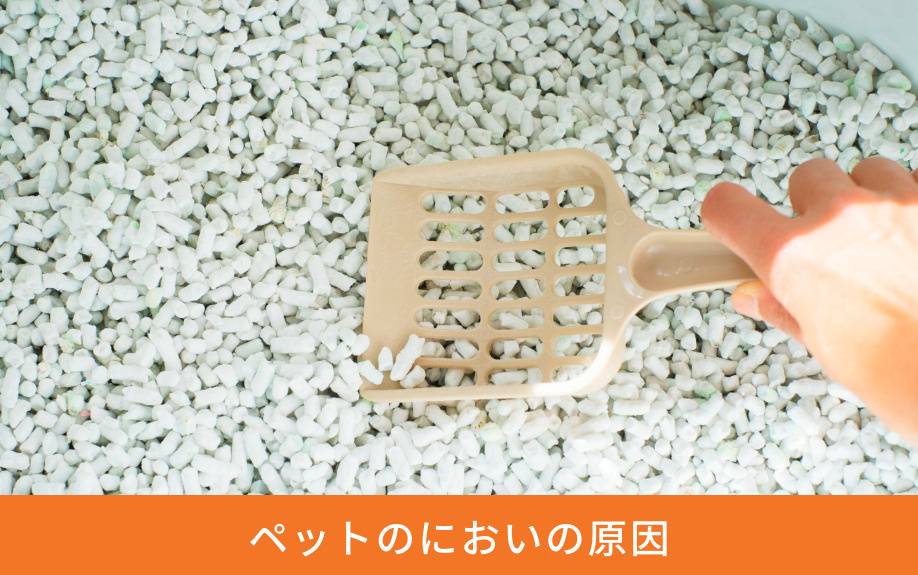 ペットのにおいの原因