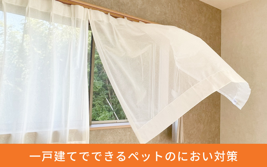 一戸建てでできるペットのにおい対策
