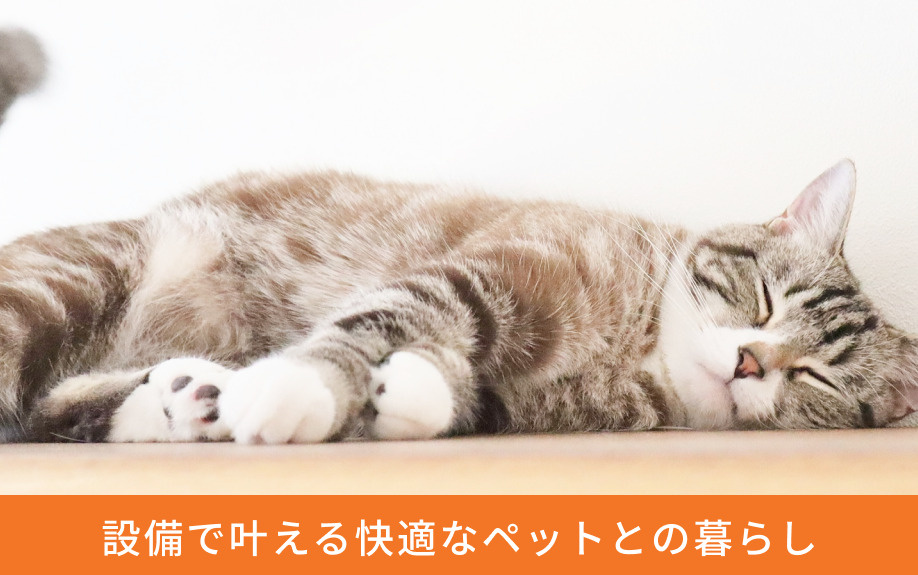 設備で叶える快適なペットとの暮らし