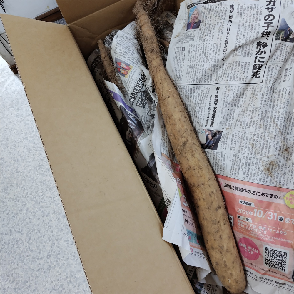 北海道から届いた「長いも」と思い出の味の画像