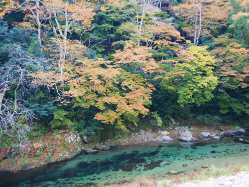 紅葉穴場スポット！の画像