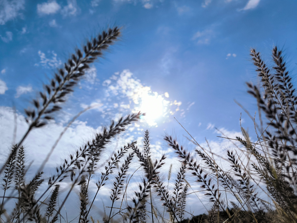 １年半ぶりのRUN（2025.11.20）の画像