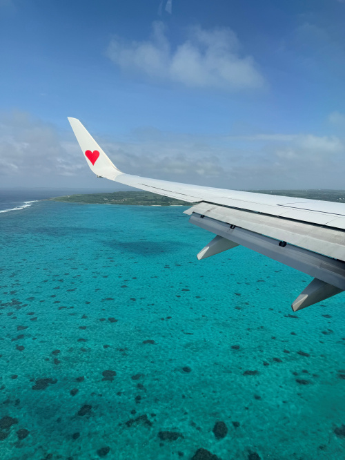 島でも飲んで食べて打ってですの画像