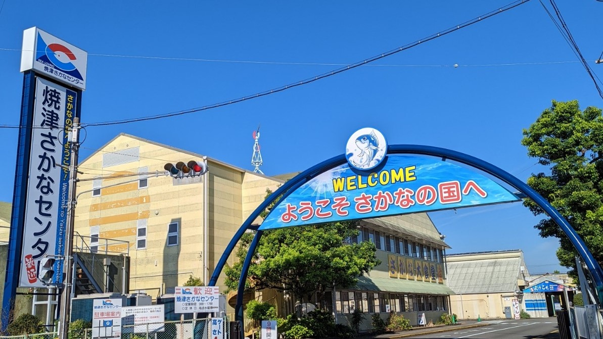 さかな天国の画像