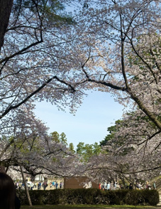 【ブログ】2026年2月・3月賃料起算可物件の画像