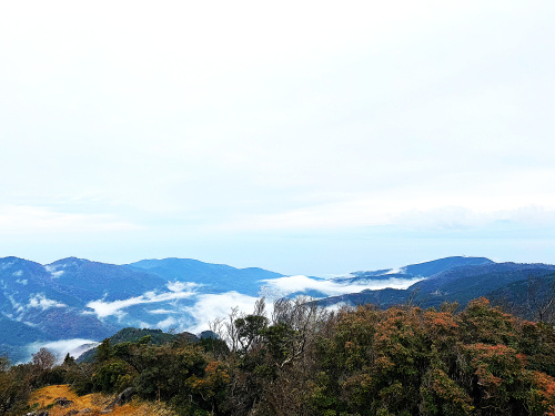 達磨山の眺望