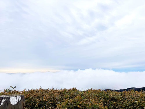 山頂付近の光景