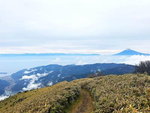 山頂からのパノラマ