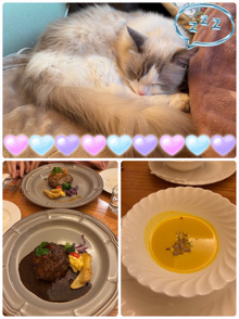 学園祭の季節の画像