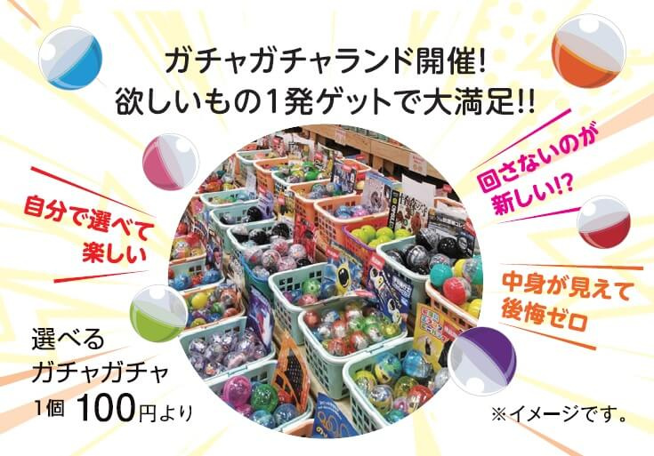 選べるガチャガチャ！？の画像
