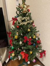 クリスマスツリーの画像