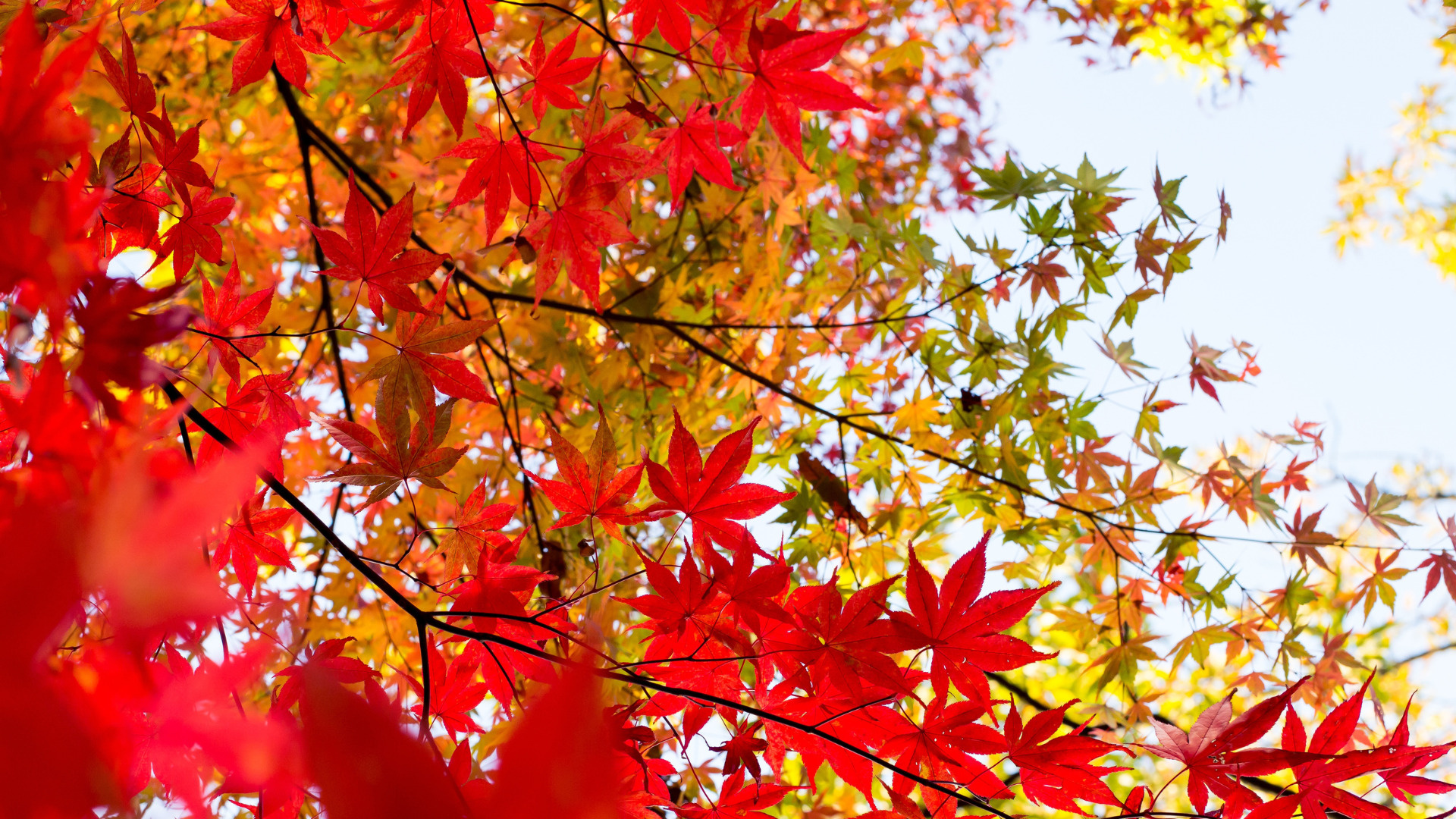 足元の小さな発見と、心の余裕の画像