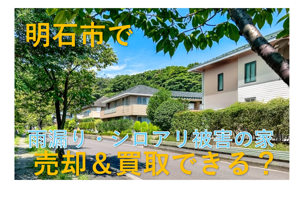 明石市で「雨漏り」「シロアリ」のある家、売却・買取は可能か？の画像