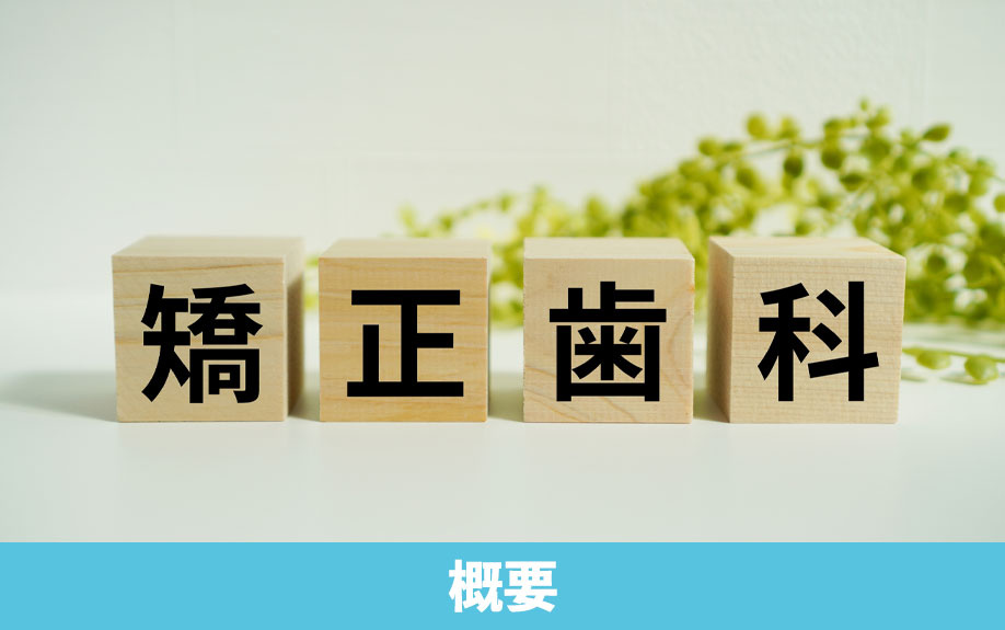 大森駅近くにある「もも矯正歯科」の概要