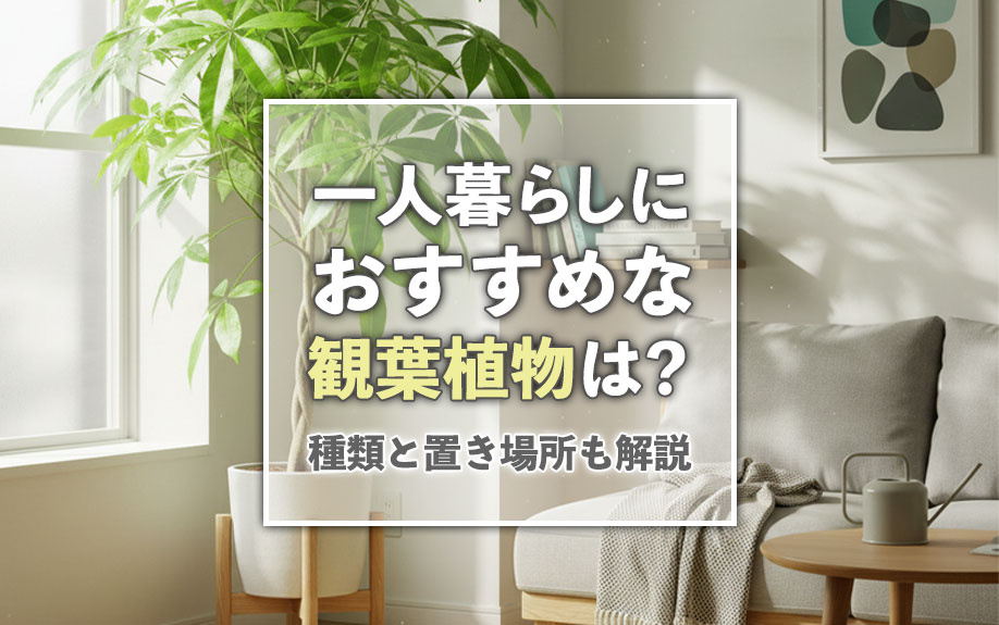 一人暮らしにおすすめな観葉植物は？種類と置き場所も解説