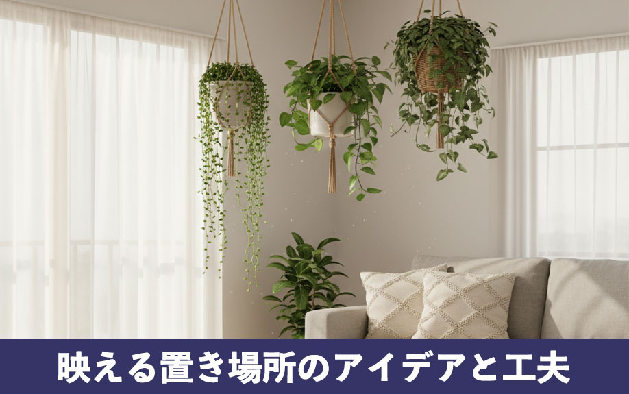 一人暮らしの部屋でおすすめの観葉植物の置き場所やアイデア
