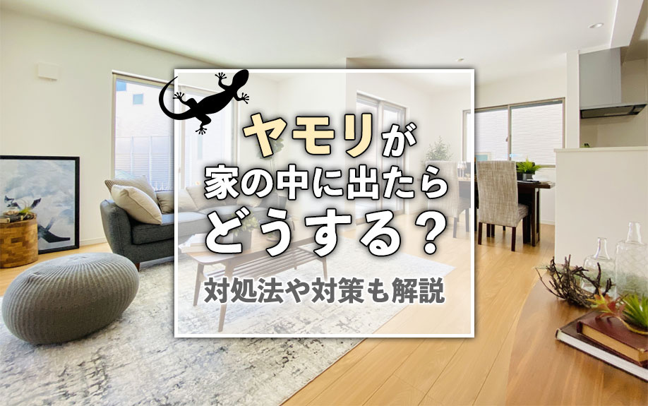 ヤモリが家の中に出たらどうする？対処法や対策も解説の画像