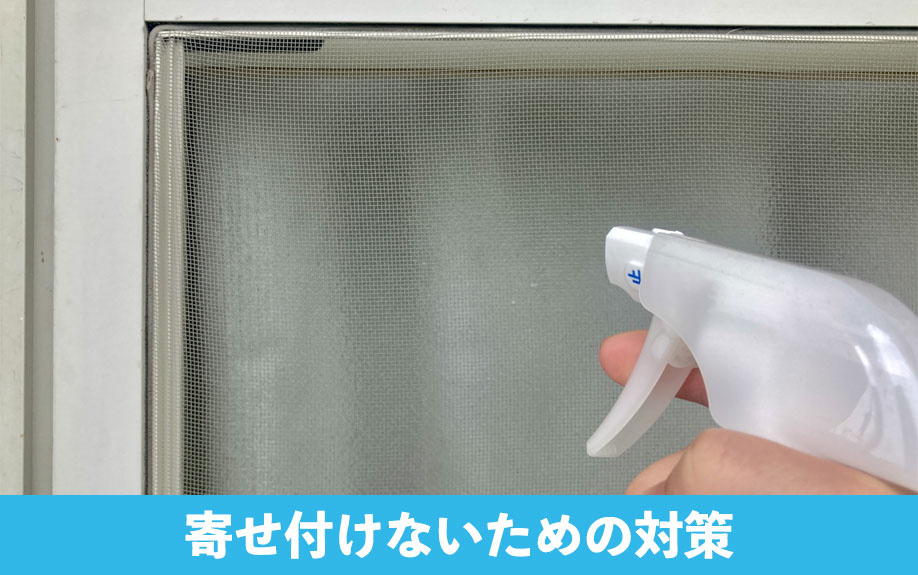 家の中のヤモリどうする？寄せ付けないための対策