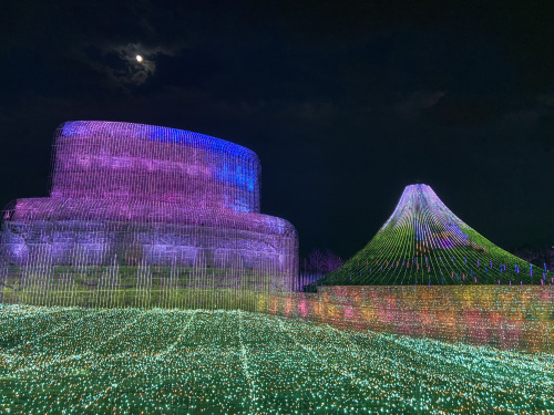 なばなの里に行ってきましたの画像