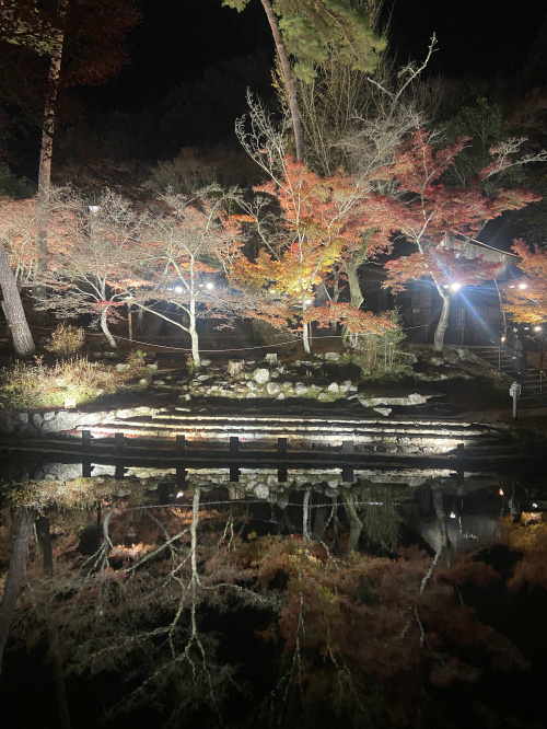近所の岩屋堂に紅葉を見に行ってきましたの画像