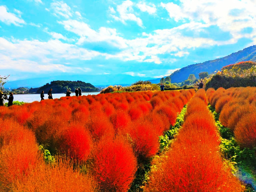 ～自然が織りなす美観を満喫～の画像