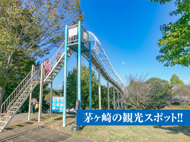 茅ヶ崎の観光スポットのご紹介！の画像