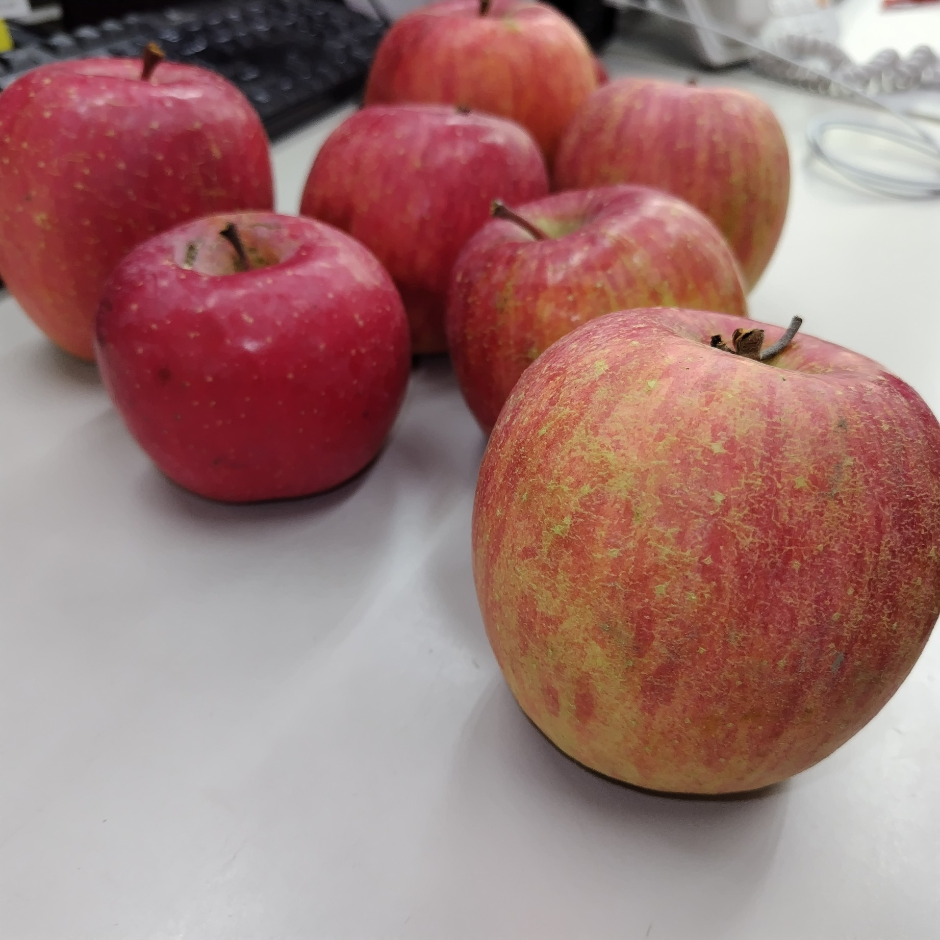 福島県より「りんご」が会社に届きましたの画像