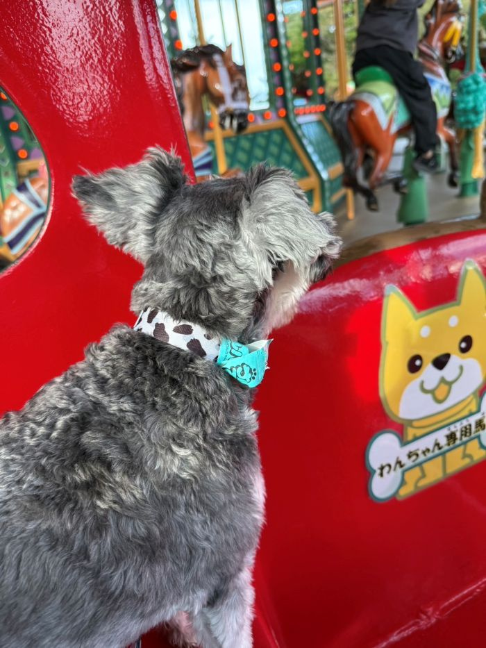 那須ハイランドパークの画像