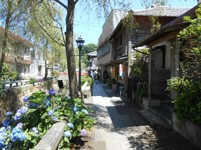 下田市の観光スポットはどこがおすすめ？人気の場所や楽しみ方も紹介の画像